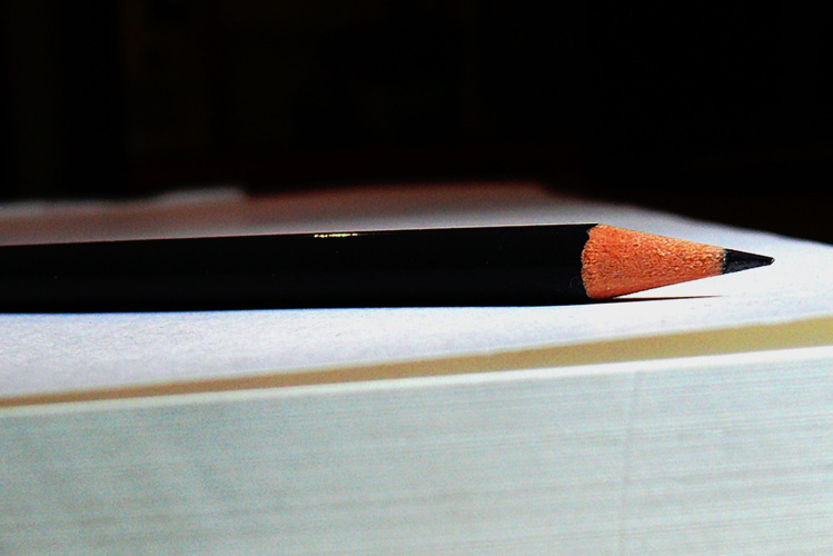 Une mission parlementaire se penche sur la fraude aux prestations sociales Une mission parlementaire se penche sur la fraude aux prestations sociales