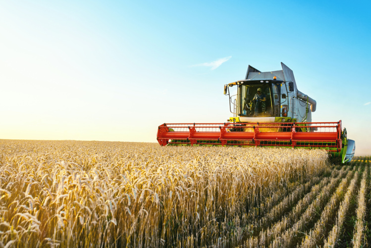 20% des agriculteurs n’ont pas dégagé de revenu en 2017 20% des agriculteurs n’ont pas dégagé de revenu en 2017