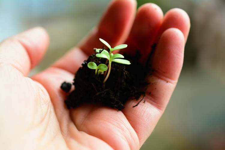 Investissement socialement responsable : l’offre s’étoffe et la performance suit Investissement socialement responsable : l’offre s’étoffe et la performance suit