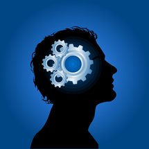 Le programme Think Tank Companieros : les managers de demain Le programme Think Tank Companieros : les managers de demain
