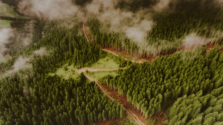 Fonds « durables » : davantage de marketing que de substance Fonds « durables » : davantage de marketing que de substance