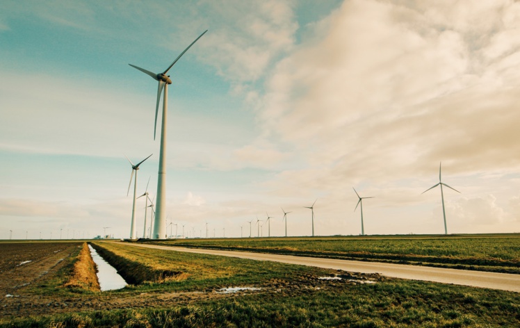 Les subventions néfastes pour l’environnement « pèsent » 67 milliards d’euros en France Les subventions néfastes pour l’environnement « pèsent » 67 milliards d’euros en France