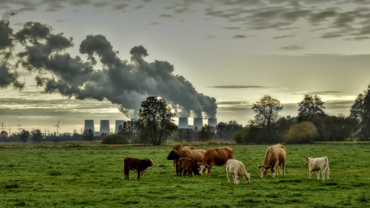 Réchauffement climatique : le PIB mondial va s’effondrer