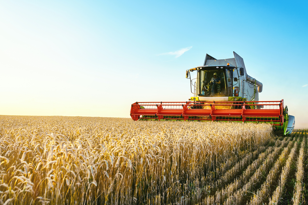 20% des agriculteurs n’ont pas dégagé de revenu en 2017 20% des agriculteurs n’ont pas dégagé de revenu en 2017