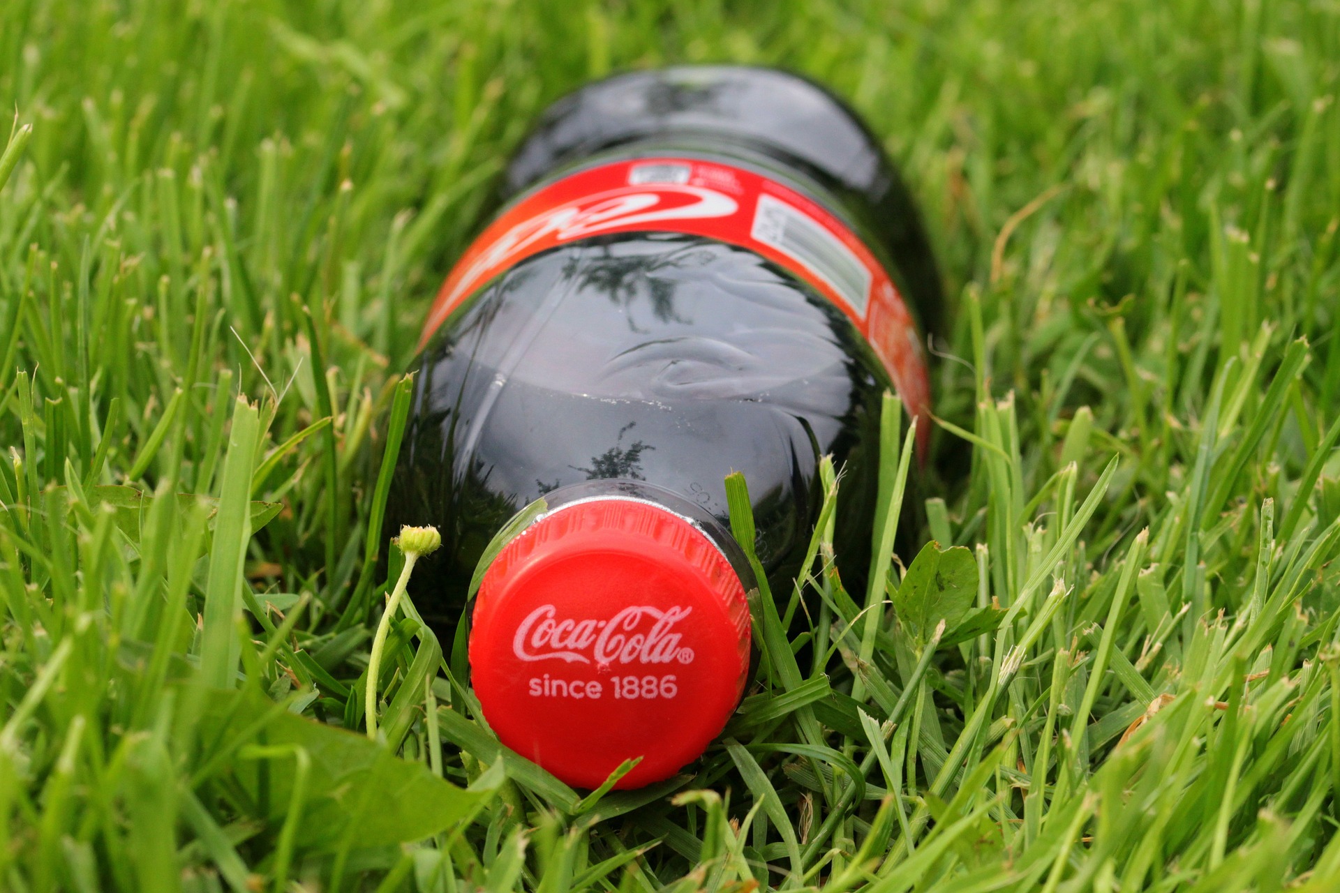 Intermarché  les marques du groupe CocaCola disparaissent peu à peu