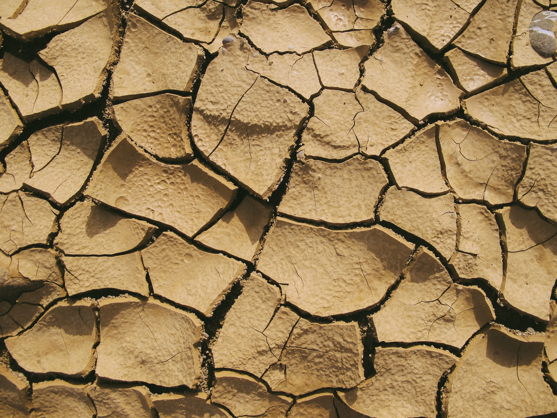 Assurances : la sinistralité sécheresse devrait coûter 43 milliards d’euros d’ici 2050