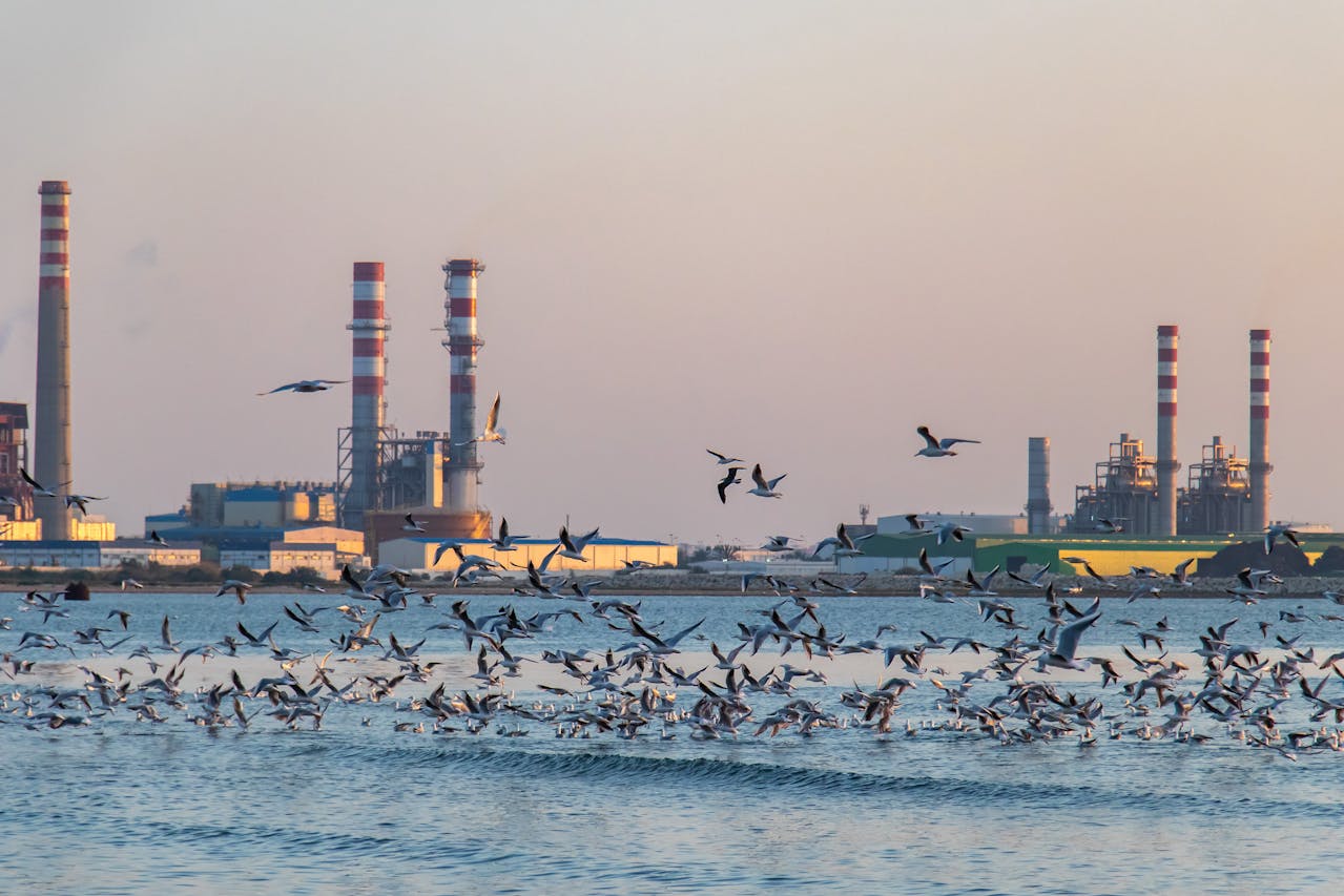 Budget 2025 : une impulsion pour la décarbonation de l’industrie française Budget 2025 : une impulsion pour la décarbonation de l’industrie française