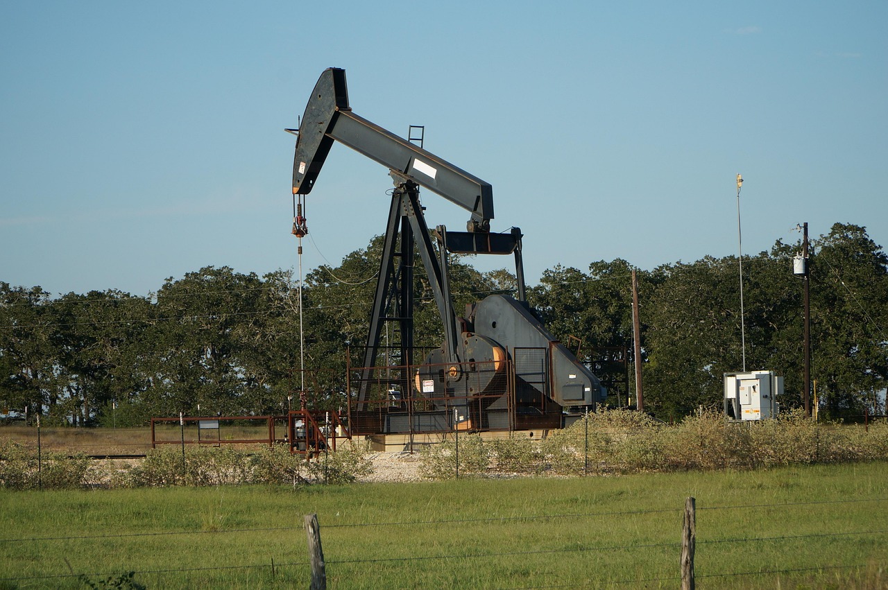 Consommation mondiale de pétrole : l’OPEP compte sur une hausse, à rebours de l’AIE