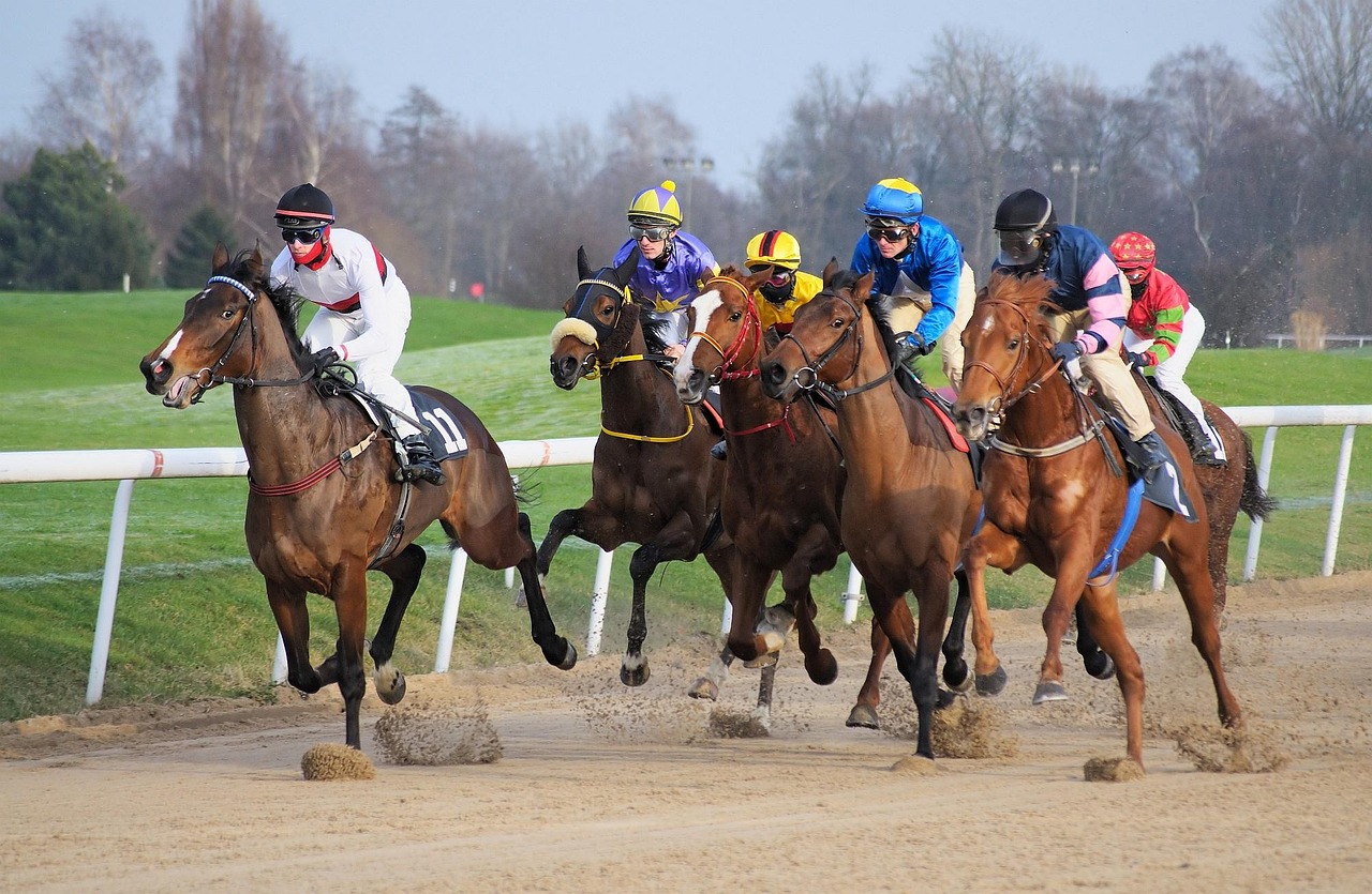 Jeux d'argent : hausse record du nombre de joueurs et des mises
