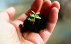 Investissement socialement responsable : l’offre s’étoffe et la performance suit Investissement socialement responsable : l’offre s’étoffe et la performance suit
