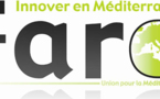 Zoom sur le fonds Faro Zoom sur le fonds Faro