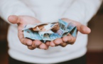 Assurance vie : une collecte record en octobre 2021 Assurance vie : une collecte record en octobre 2021