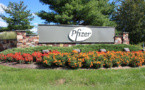 Cellectis et Pfizer vont collaborer dans le domaine de l’oncologie Cellectis et Pfizer vont collaborer dans le domaine de l’oncologie