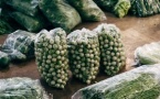 Interdiction des emballages plastiques pour les fruits et légumes : le Conseil d’État annule à nouveau le décret Interdiction des emballages plastiques pour les fruits et légumes : le Conseil d’État annule à nouveau le décret