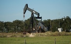 Consommation mondiale de pétrole : l’OPEP compte sur une hausse, à rebours de l’AIE