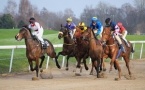 Jeux d'argent : hausse record du nombre de joueurs et des mises