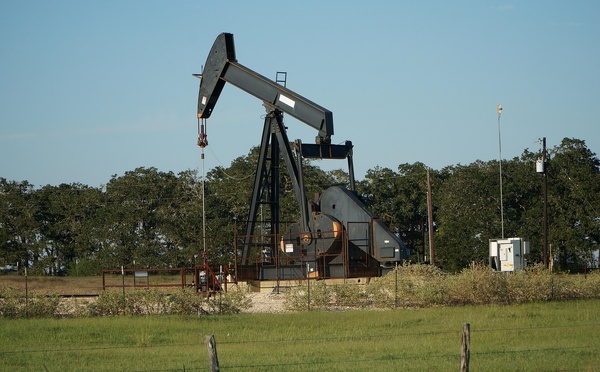 Consommation mondiale de pétrole : l’OPEP compte sur une hausse, à rebours de l’AIE