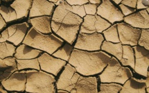 Assurances : la sinistralité sécheresse devrait coûter 43 milliards d’euros d’ici 2050