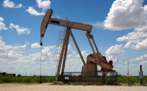 ExxonMobil porte plainte contre la taxe « superprofits »