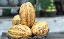 Chocolat : le prix du cacao bat les records