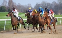 Jeux d'argent : hausse record du nombre de joueurs et des mises